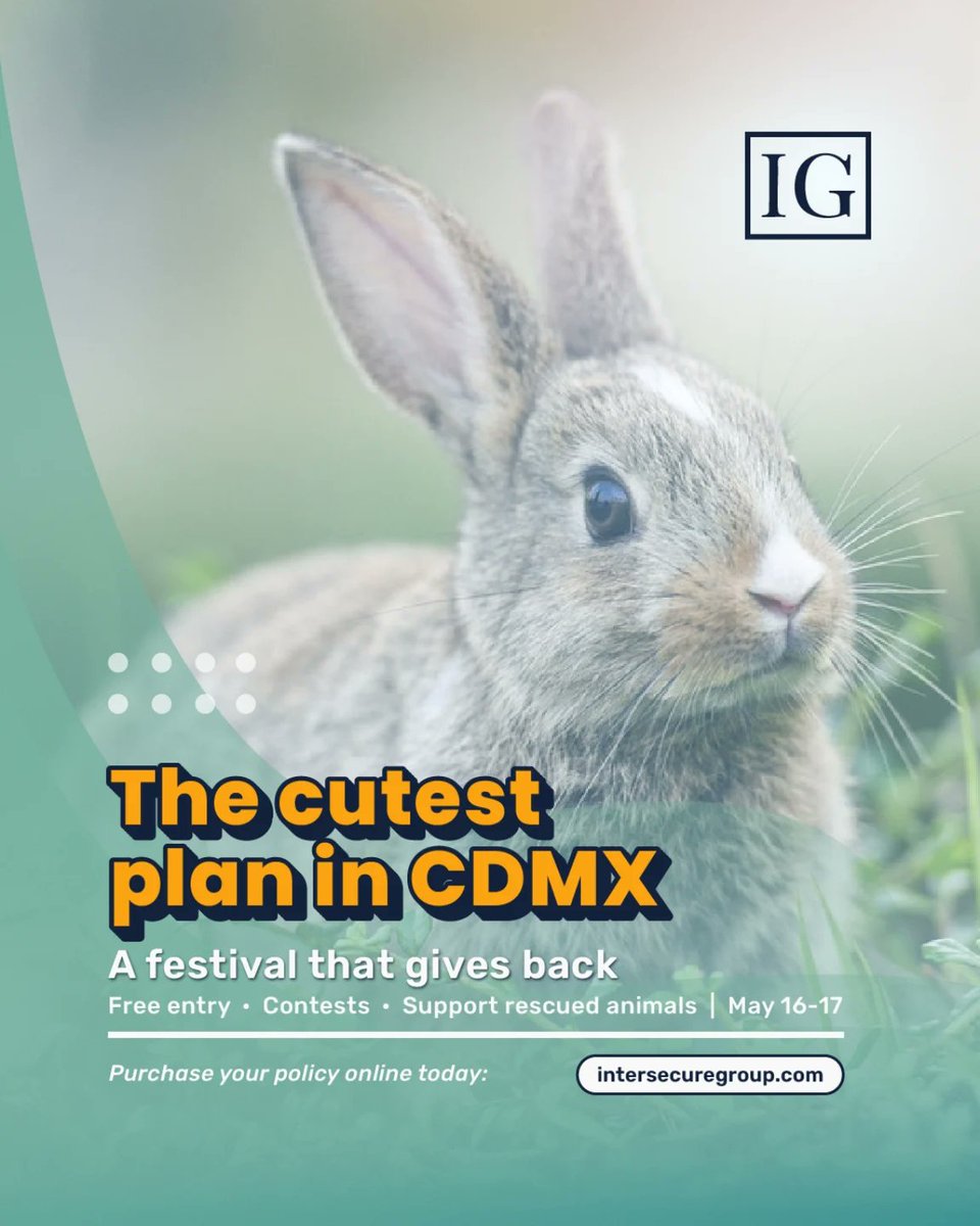 KathieJenaxcc's tweet photo. Planning a trip to CDMX? Visit Brinquitos con Causa for a weekend full of meaningful activities and community spirit. Before you go, make sure you have the right insurance for your trip to Mexico. https://t.co/2DF0QxYy2g
