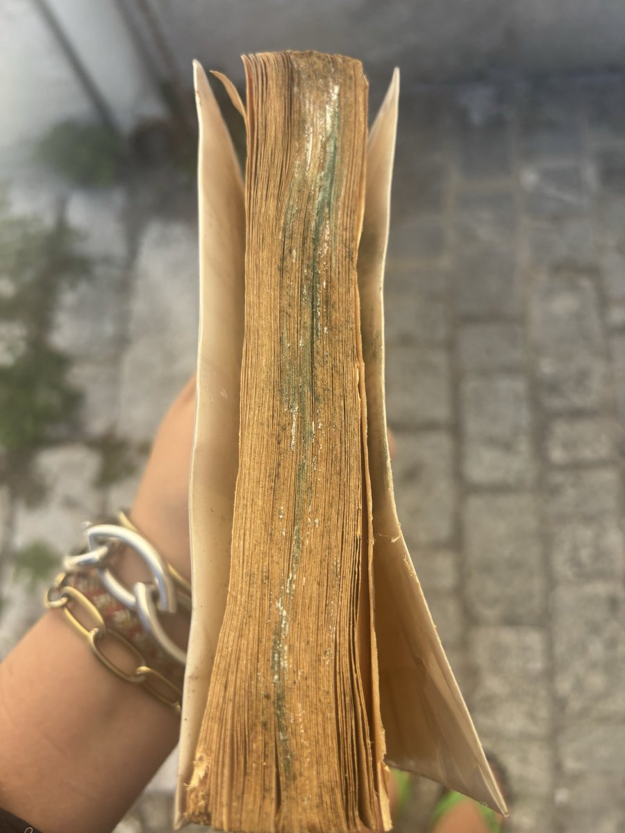 freakygyal971's tweet photo. j’ai prêté un livre à une amie elle me l’a rendu comme ça https://t.co/E2nLCp6lFk