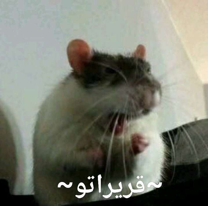 MejaowSub's tweet photo. 🐀🐀🐀🐀🐀🐀🐀🐀🐀🐀🐀🐀🐀
🐀🐀 الحلقة 12 من انمي الجرذان 🐀🐀
🐀🐀 موشوك تينسي3  (مترجمة) 🐀🐀
🐀🐀🐀🐀🐀🐀🐀🐀🐀🐀🐀🐀🐀

https://t.co/e4BSLX3keq

إن لم تنشرها فاعلم أن الجرذ منعك https://t.co/8FxhgvkSEv