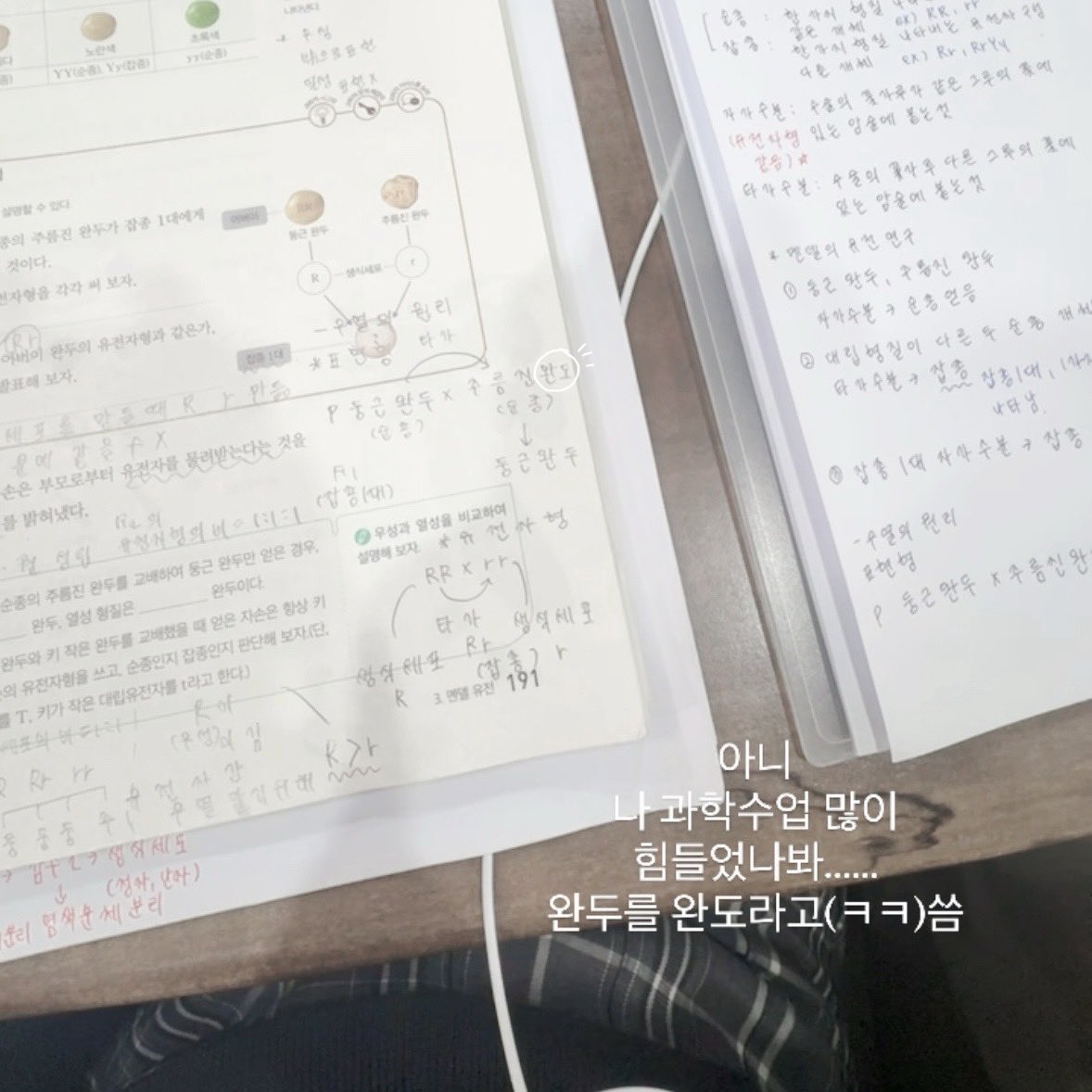 x46s1l's tweet photo. 쟤와 너의 감수량을 비교 말아야만 해 😭.. https://t.co/XvFmIL5d4a
