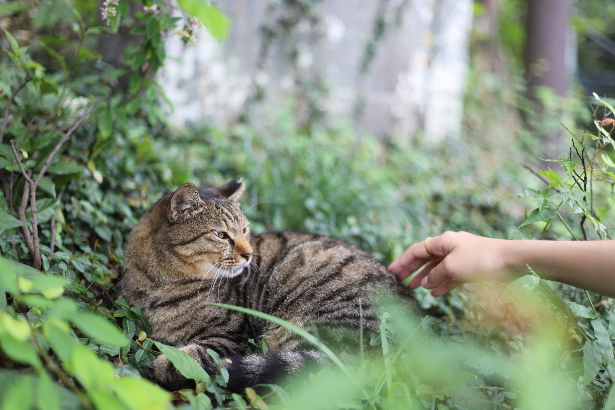 teitsu_t's tweet photo. 6D Mark Ⅱ + EF28-105 F3.5-4.5 USM
レンズは日本橋キタムラで買った2000円くらいのジャンクだけど、かなり気に入りました https://t.co/89XFwN1cWq