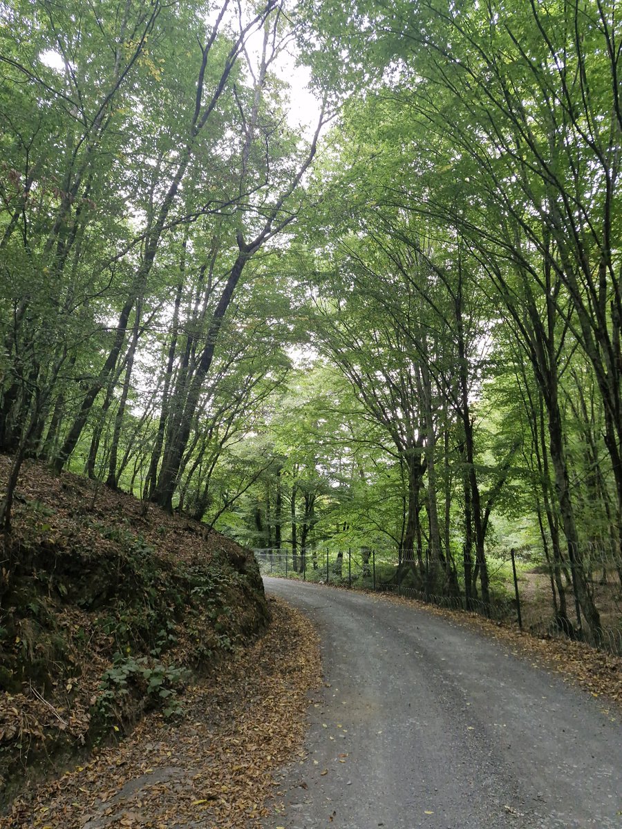 muhendss_'s tweet photo. Günü değerlendirme 10/10 https://t.co/j7JR2mK3UI