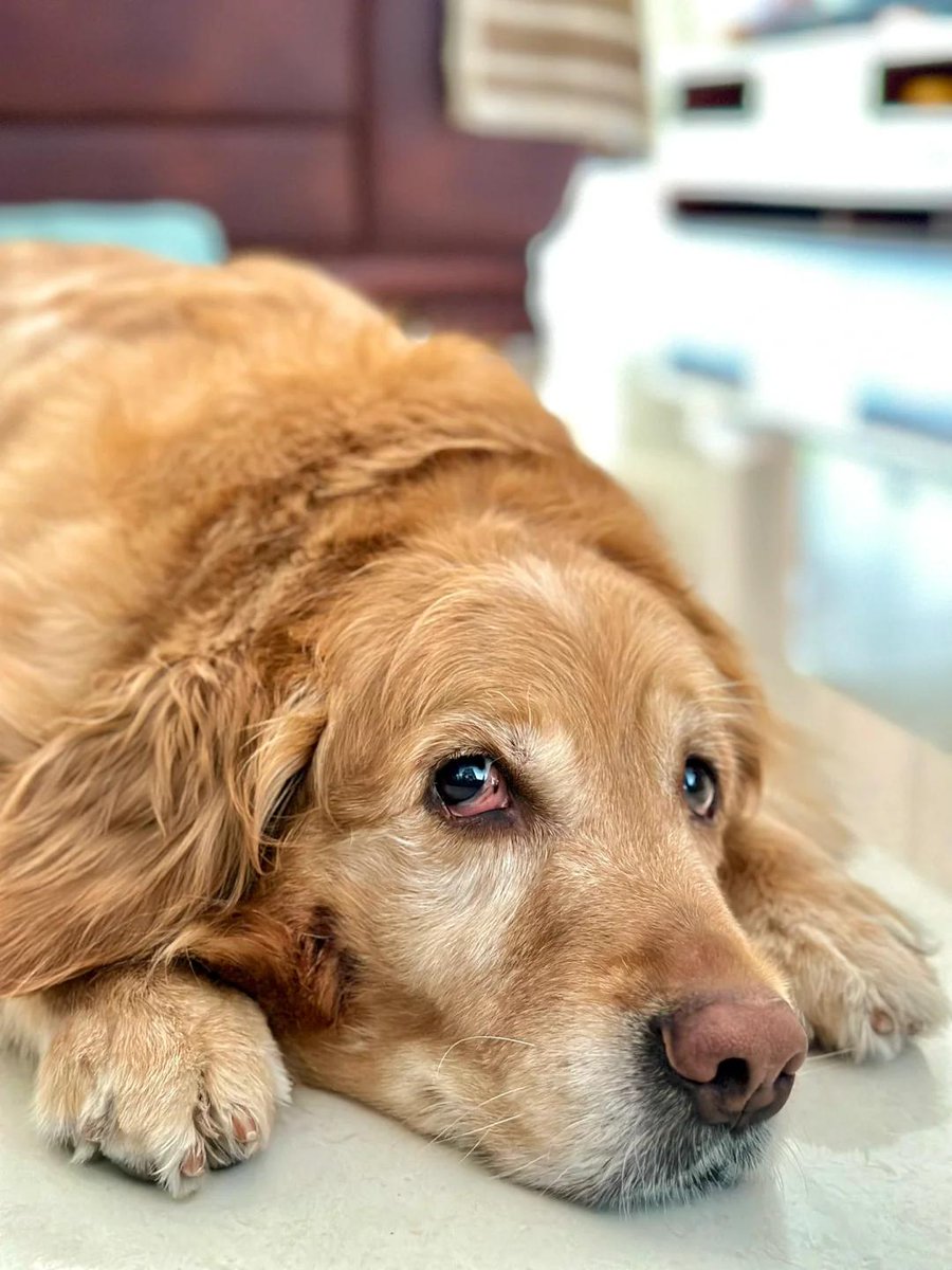 milka997031's tweet photo. Just finished Atomic Habits and it’s such a game-changer—small, consistent steps build amazing results! Swipe to see my dog-eared page with key takeaways https://t.co/FBjFcVCTLj