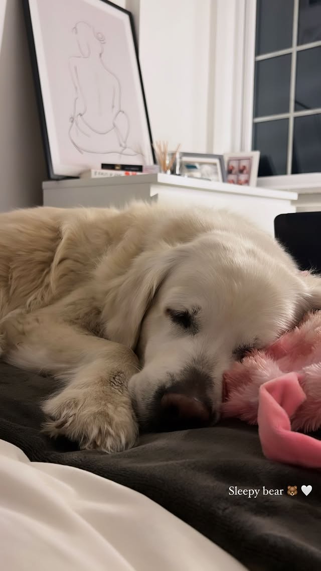emmai7bm's tweet photo. Big Bear😘😘 https://t.co/fqlWPYu8G3