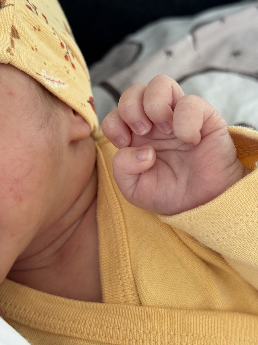 aiseozyer's tweet photo. Zaman çok hızlıı ne zaman 14 gün geçti kızım 🥹🤍🌸 https://t.co/TUvaomwQqJ