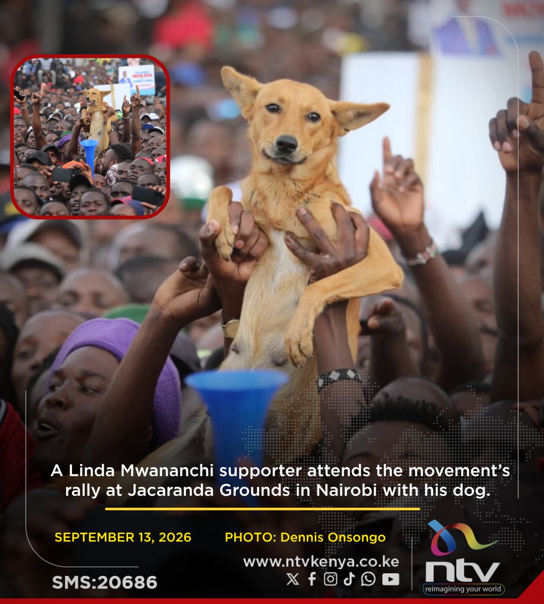 ntvkenya's tweet photo. A Linda Mwananchi supporter attends the movement’s rally at Jacaranda Grounds with his dog. https://t.co/Lg35QewE04