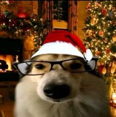 Rapiosale's tweet photo. @KreekCraft Lwk don't know what to say so https://t.co/IDysZ5DIkv