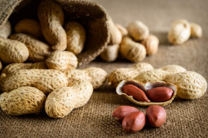 CorinnePulitzer's tweet photo. #Legumes are in the spotlight today, it’s #NationalPeanutDay & whether you love them roasted, salted or boiled, grab a handful & get cracking🥜 @planterscanada @hubspeanuts @crackerjackUSA @HamptonFarms @NationalDayCal @HeyWhatDay @DiningGuide2Day https://t.co/LdD0avCAWl