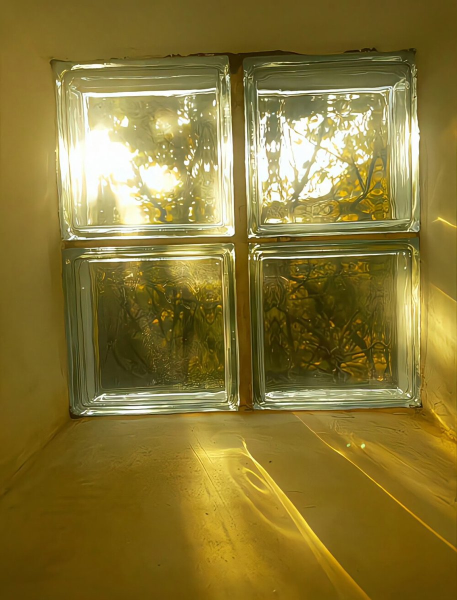 WadeDecourtm1's tweet photo. Growth isn’t about fixing the cracks—it’s learning to let light filter through them. What once felt like breaks became my favorite angles to see the world. https://t.co/HB6aH9dmmu