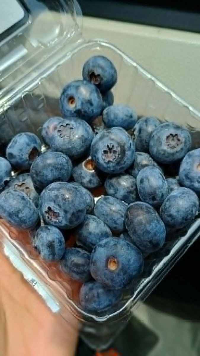 CodigoMental777's tweet photo. Las únicas FRUTAS que te AYUDAN a ELIMINAR tu GRASA ABDOMINAL y aniquilar tu debilidad metabólica:

1.DEVORA ARÁNDANOS https://t.co/Vcnc4H319i