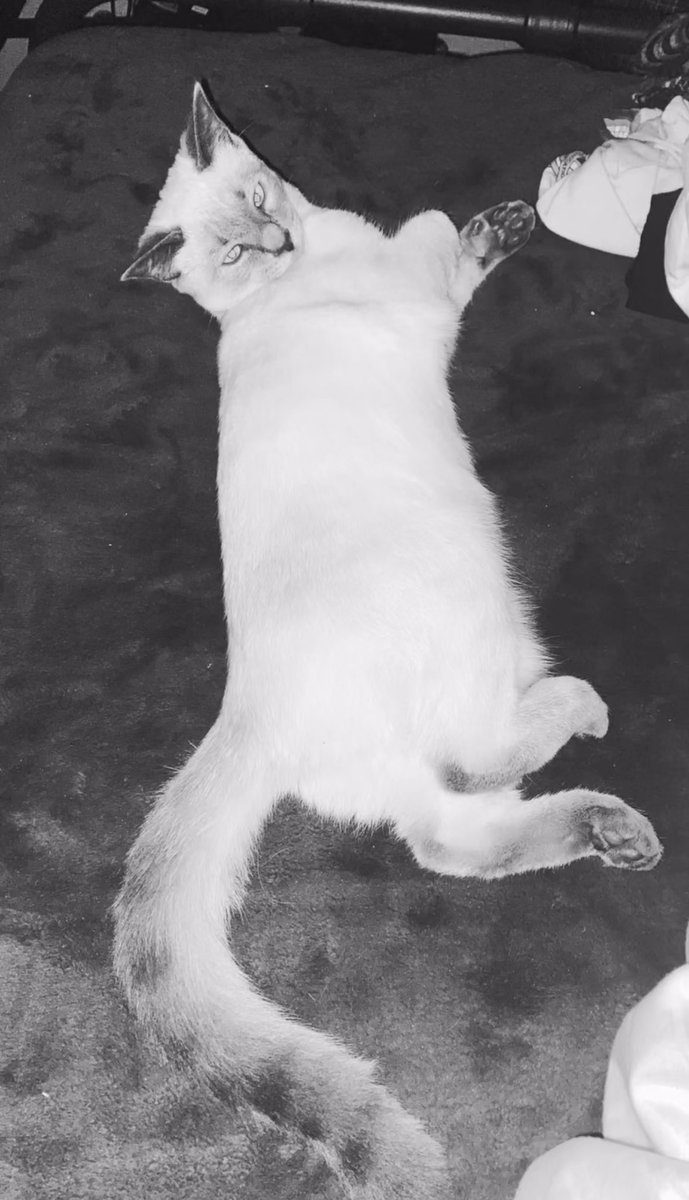 viiitzin's tweet photo. My life only exists online, my personality is only on the internet, nothing interests me away from my phone screen, nothing outside of my room can hurt me, I’m safe here https://t.co/paKC5iSL3M