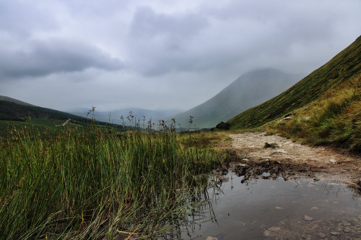 Highlandsphoto1 tweet picture