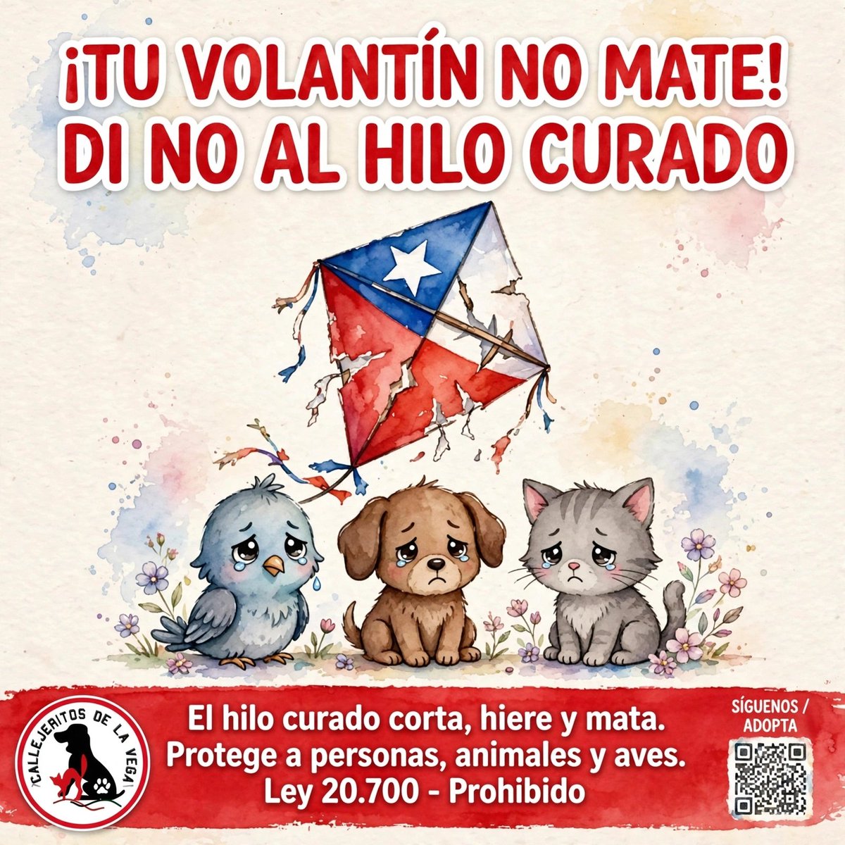 callejeritosDLV's tweet photo. ¡En estas Fiestas Patrias que tu volantín no mate! 🪁🚫

Sabemos que elevar volantines es una hermosa tradición, pero el HILO CURADO NO ES UN JUEGO. Está prohibido por la Ley 20.700 y aunque la gente lo siga usando, su uso tiene consecuencias terribles. https://t.co/W6ESSERqNw