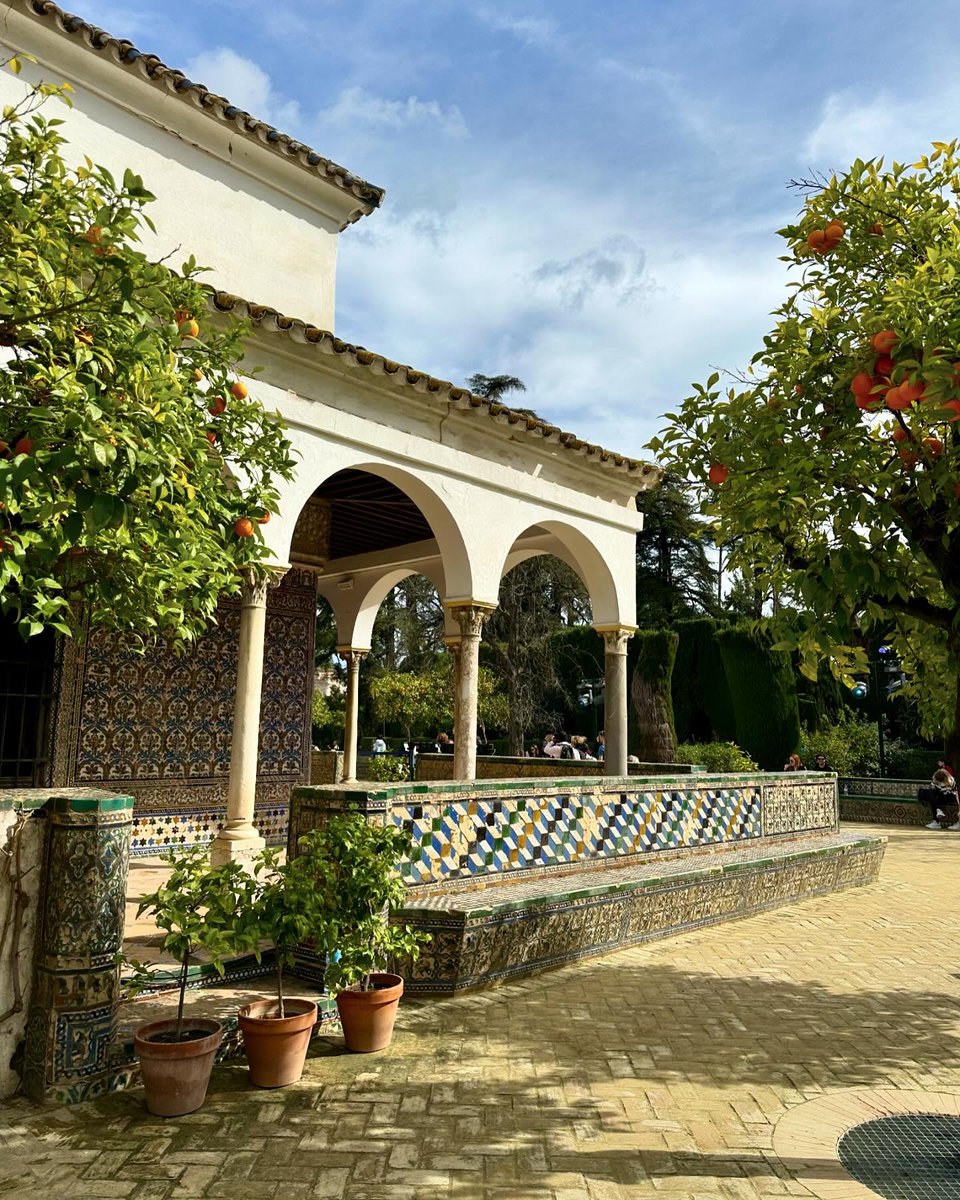 ElxTit0's tweet photo. Sevilla, where every street feels like sunshine. https://t.co/qCXWshOACR