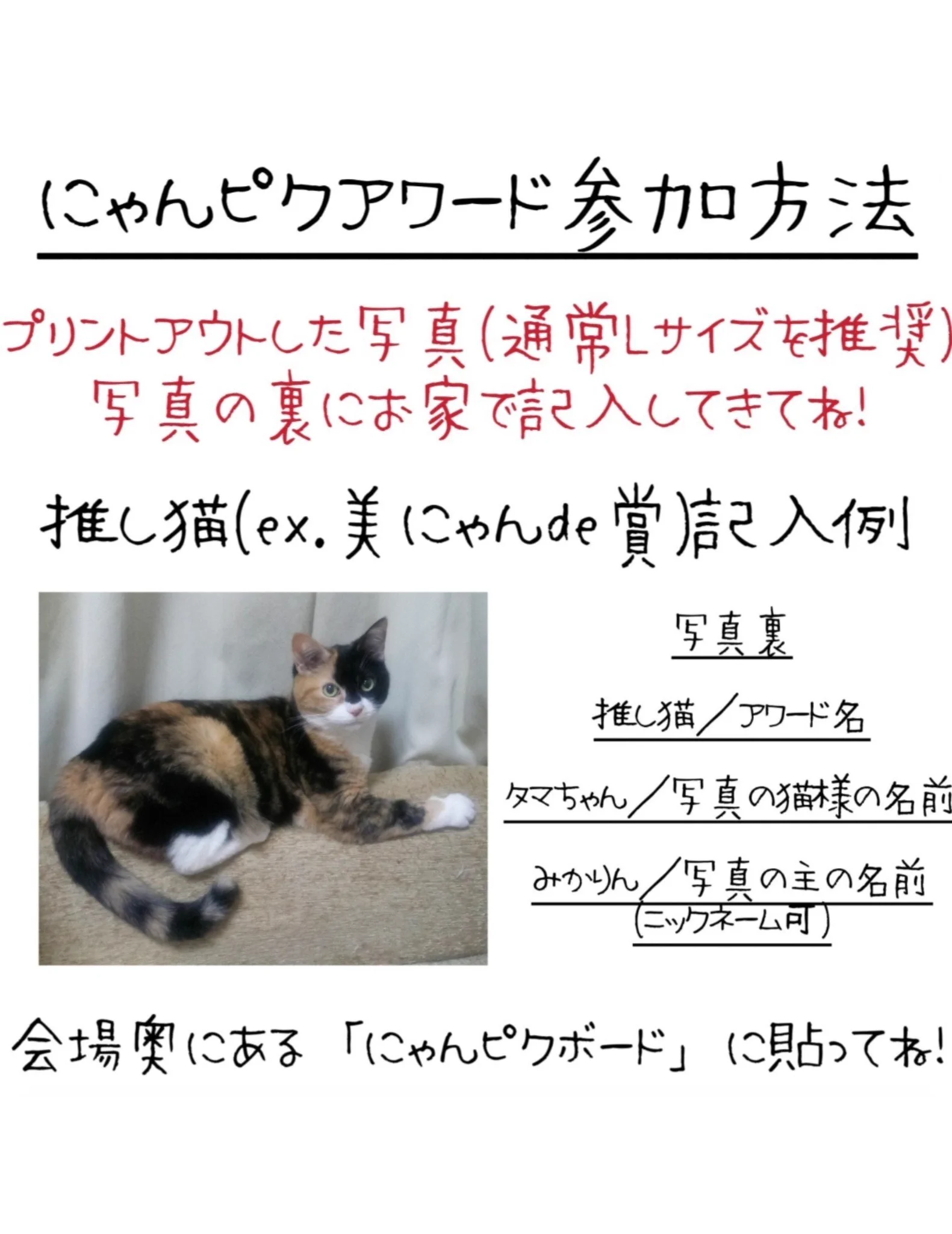 にゃんちゃん取引 猫好きさんの祭典 にゃんだらけ【公式】X on X: 