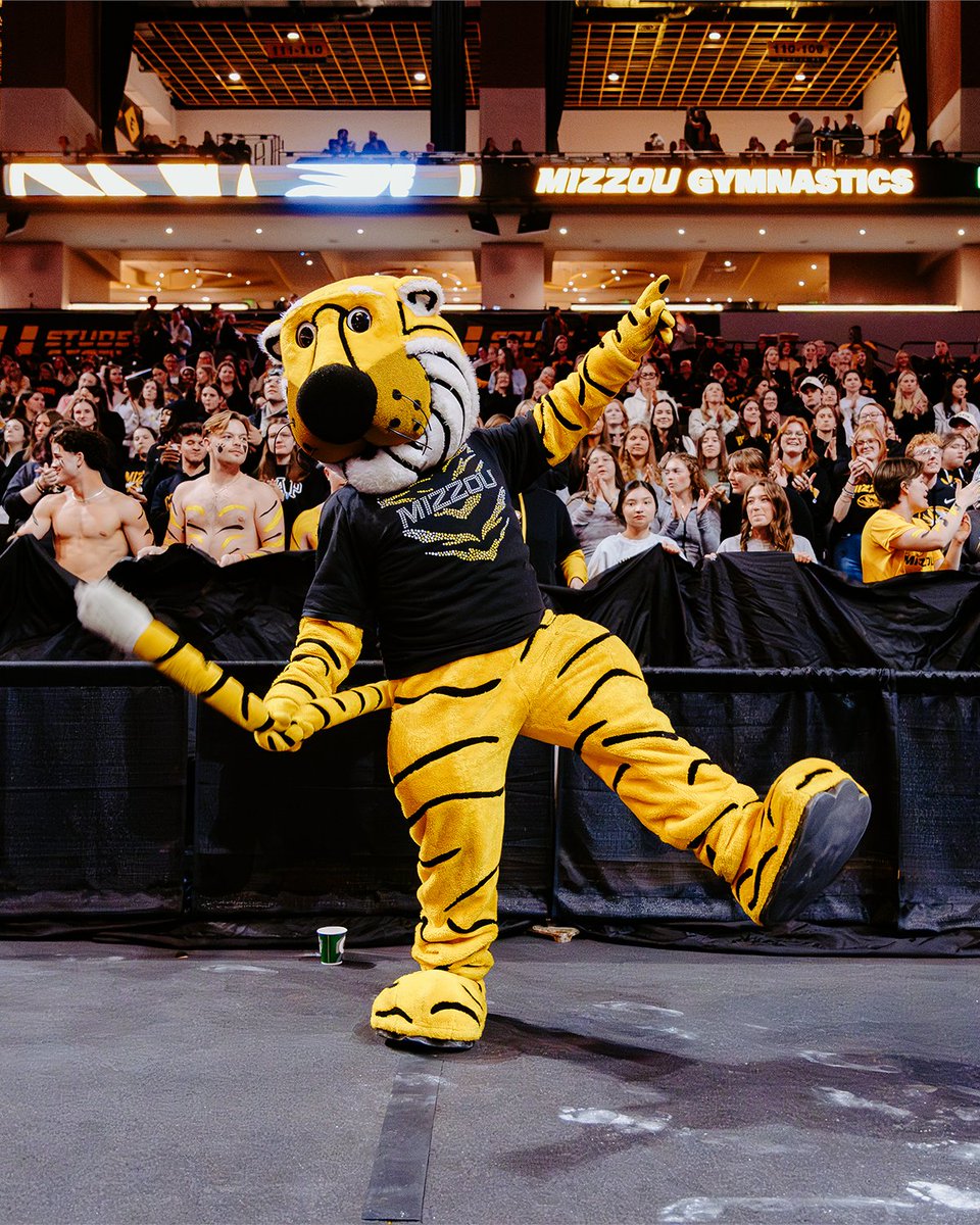 MizzouAthletics's tweet photo. Happy 40th Birthday to everyone's favorite Tiger, Truman! 🐯🎂 https://t.co/8ekrmkhhcK
