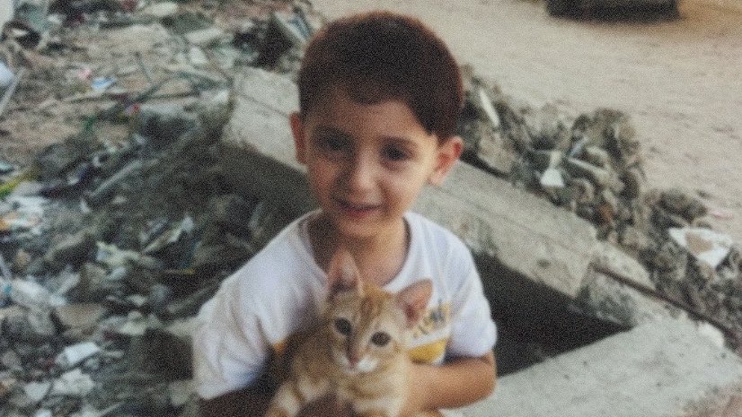 makbuleyyl's tweet photo. from gaza https://t.co/MP1YdLmVnA