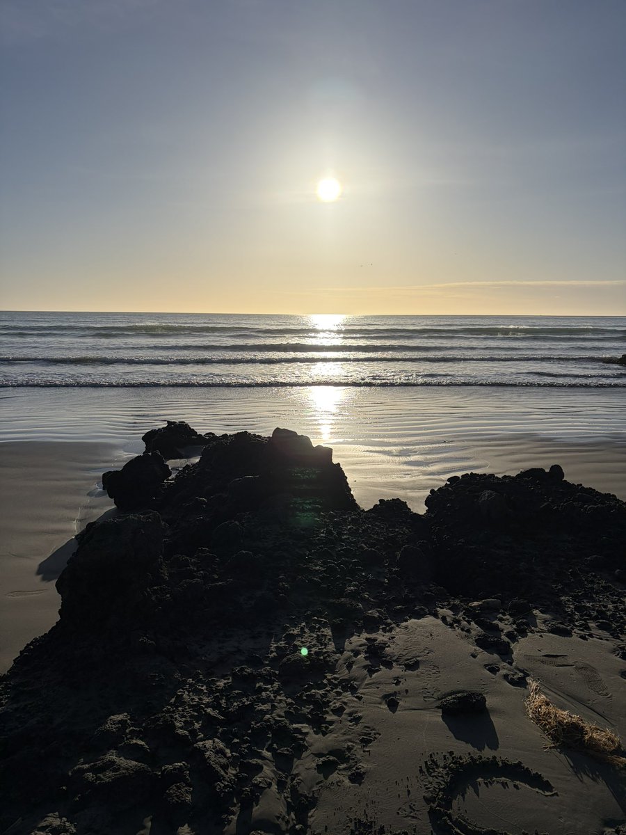 markowenmartin's tweet photo. Took the bus to Sumner Beach in Ōtautahi Christchurch region to collect a seawater sample. Beautiful scenery. #WhoGrowsThere #DocMartinInternational #MarineMicrobiologicalSafari https://t.co/vD35u1CadI