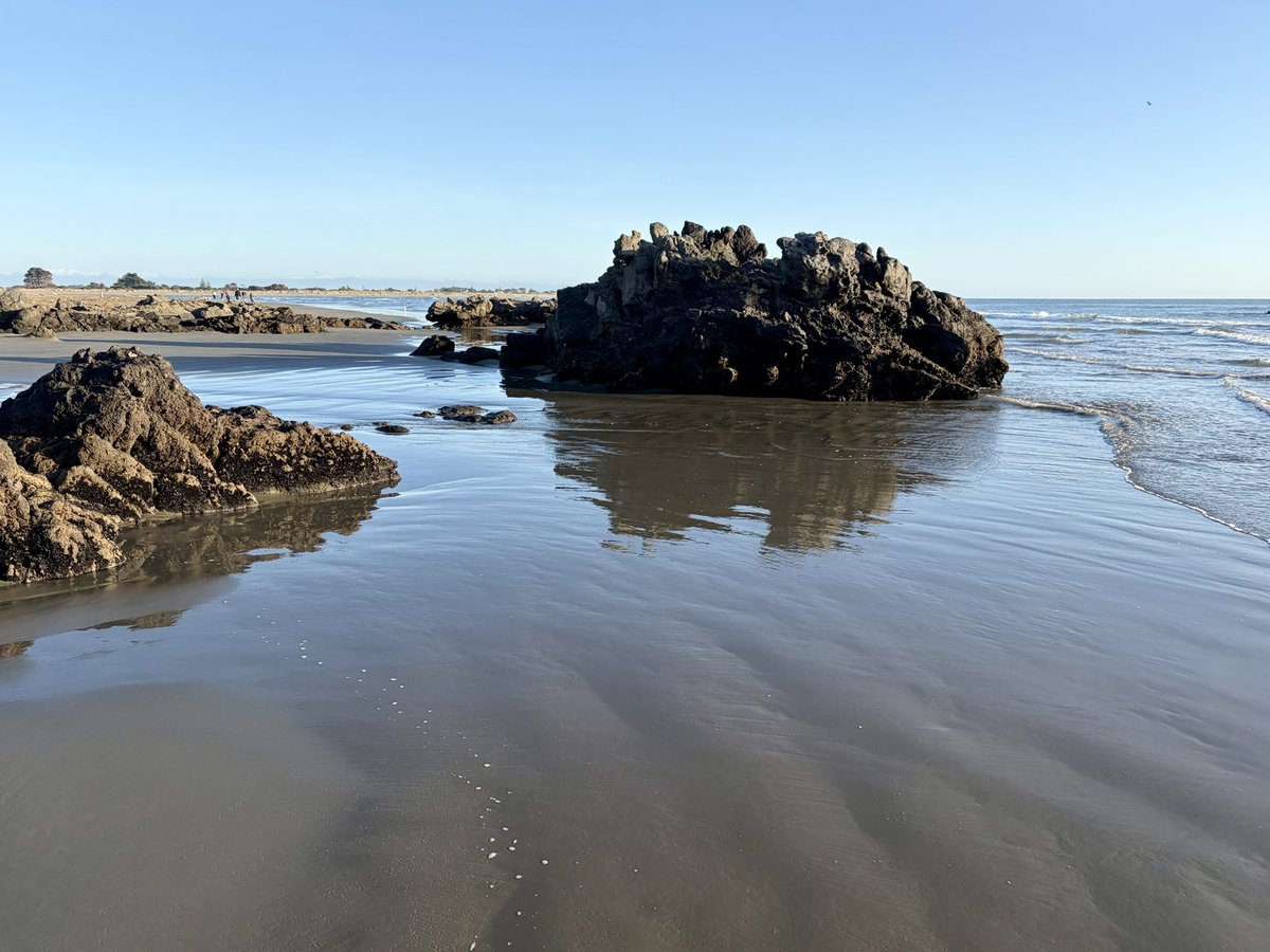 markowenmartin's tweet photo. Took the bus to Sumner Beach in Ōtautahi Christchurch region to collect a seawater sample. Beautiful scenery. #WhoGrowsThere #DocMartinInternational #MarineMicrobiologicalSafari https://t.co/vD35u1CadI