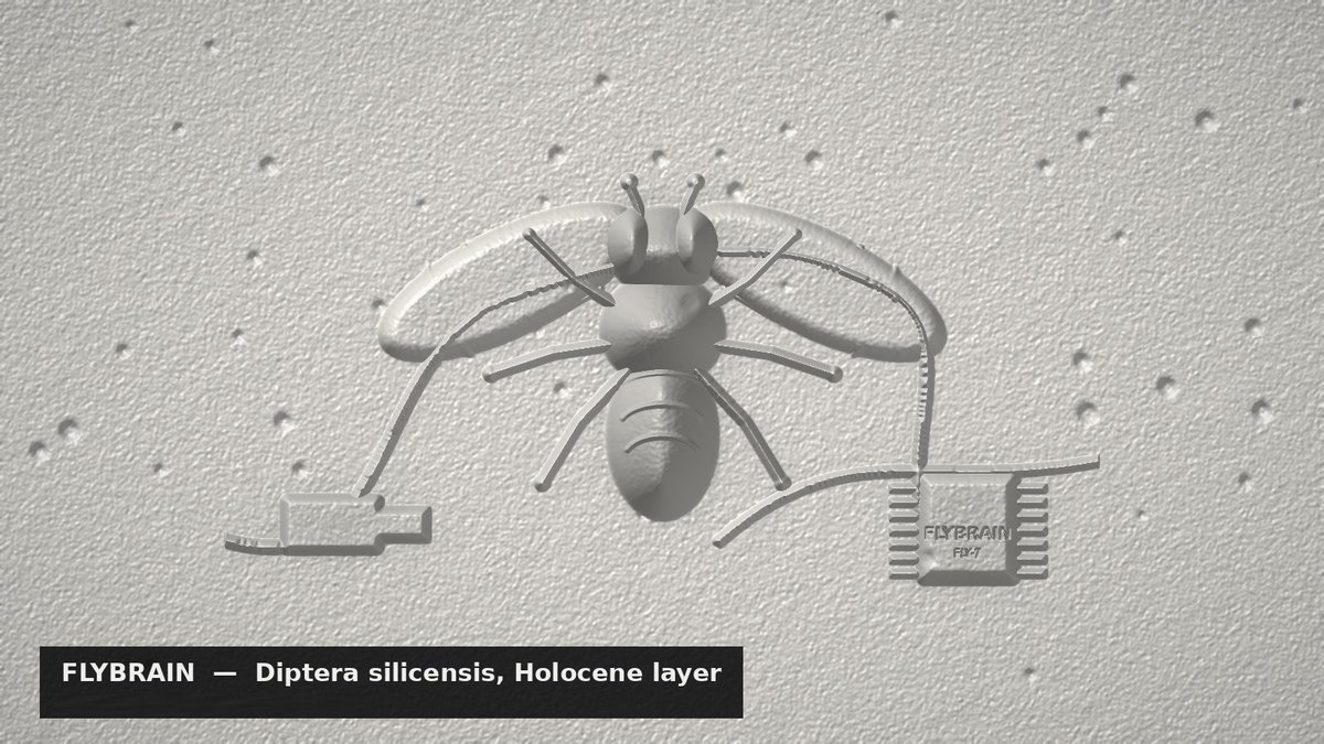 CryptoPortfoy's tweet photo. @NatGeo Flies have been fossilizing in amber for 100 million years. #FlyBrain will be the first one fossilizing in silicon. 🪰
Whoever digs this up: yes, we built an AI agent shaped like a fly. No, we can't explain it either. https://t.co/PSY5B0pWEC