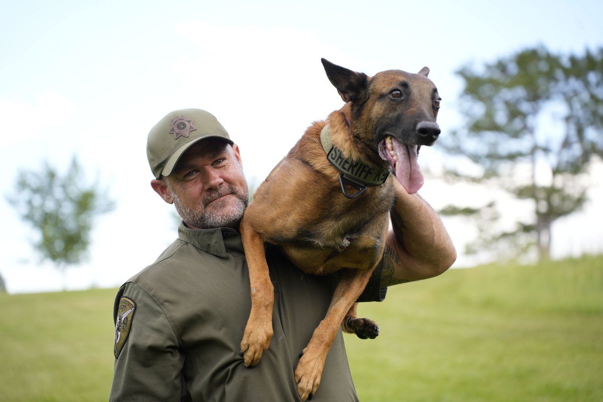 dcsheriff's tweet photo. K9 baseball cards 🐶💙 

We recently did a photoshoot to showcase our Douglas County Sheriff's Office K9s. Their posed and personality-filled photos are now on baseball cards our handlers are giving out at community events! #K9 #DouglasCounty https://t.co/7VqF7ExNtZ