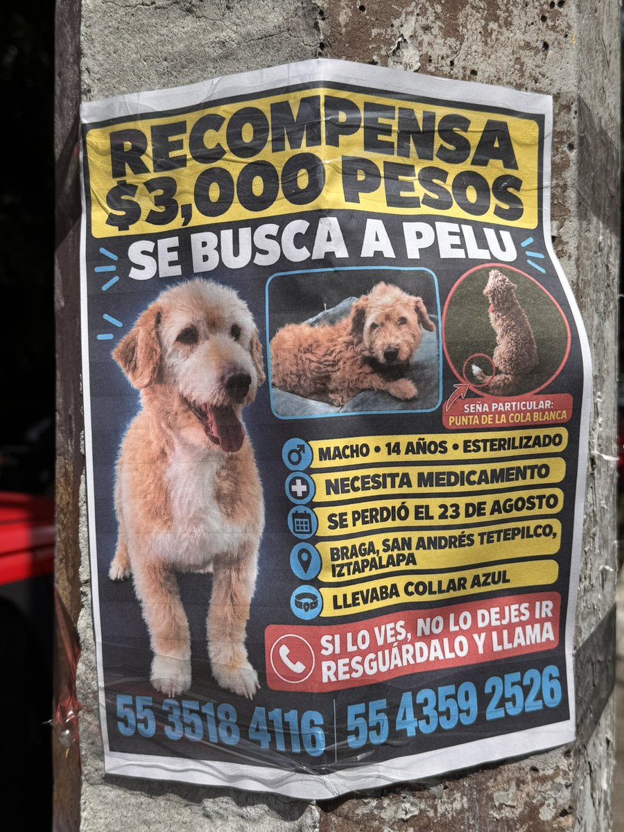 MeditaLuz_Arc's tweet photo. Su familia está recorriendo diferentes zonas y colonias para buscarlo. Comparto y que las redes sociales hagan su magia. #CDMX https://t.co/iDl9HW4DE4