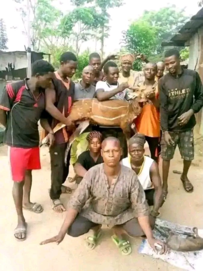 rtistdela's tweet photo. Gov. Abba Kabir Yusuf facilitated ₦119.4m support for Torankawa hunters affected in Oromi, Edo: ₦6m each for families of 16 victims and ₦1.8m each for 13 injured persons. May Allah grant the deceased eternal rest and the injured speedy recovery.

@ibrahimado__ @babarh_ @Noble_ https://t.co/lyGzvGTsub