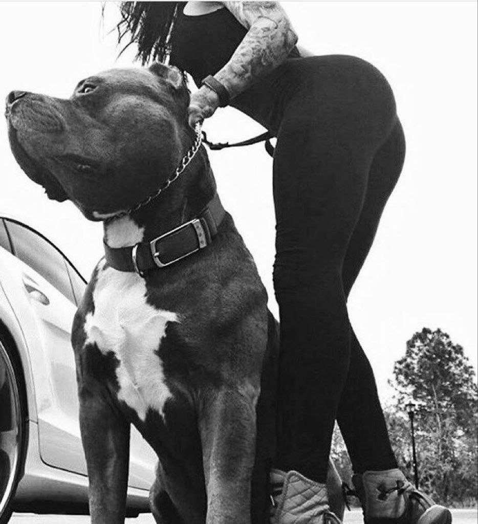 JonnirisY's tweet photo. You’re looking at the surface.
Private has the rest.
Link in bio
#dogs #K9 #USA https://t.co/74WGLbHtgk