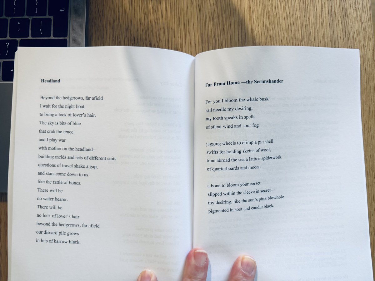 bobblack1's tweet photo. One of the great discoveries I’ve had on X has been the extraordinary &amp; incandescent poetry of @damon_hubbs  who also happens to be Founder &amp; EIC of @apehousemag 

This is the 2nd of Damon’s books I’ve read

Stunning 

A profound, surreal meditation in language, laughter &amp; grief https://t.co/tZU4215Nqe