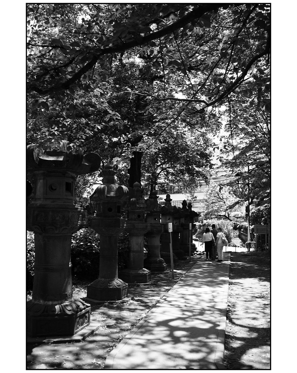 paco_mjp's tweet photo. 2026/05/05 湯島-上野広小路-上野
sony a7c canon serenar 28mm f3.5
#streetsnap #roadside #blackandwhitephotography
#上野 #ueno #上野東照宮 #sony #sonyalpha #canon #serenar #street #streetphotography #road #roadsidephotography #monochrome #blackandwhite #bnw #bnwphotography https://t.co/JztzLyxbWh