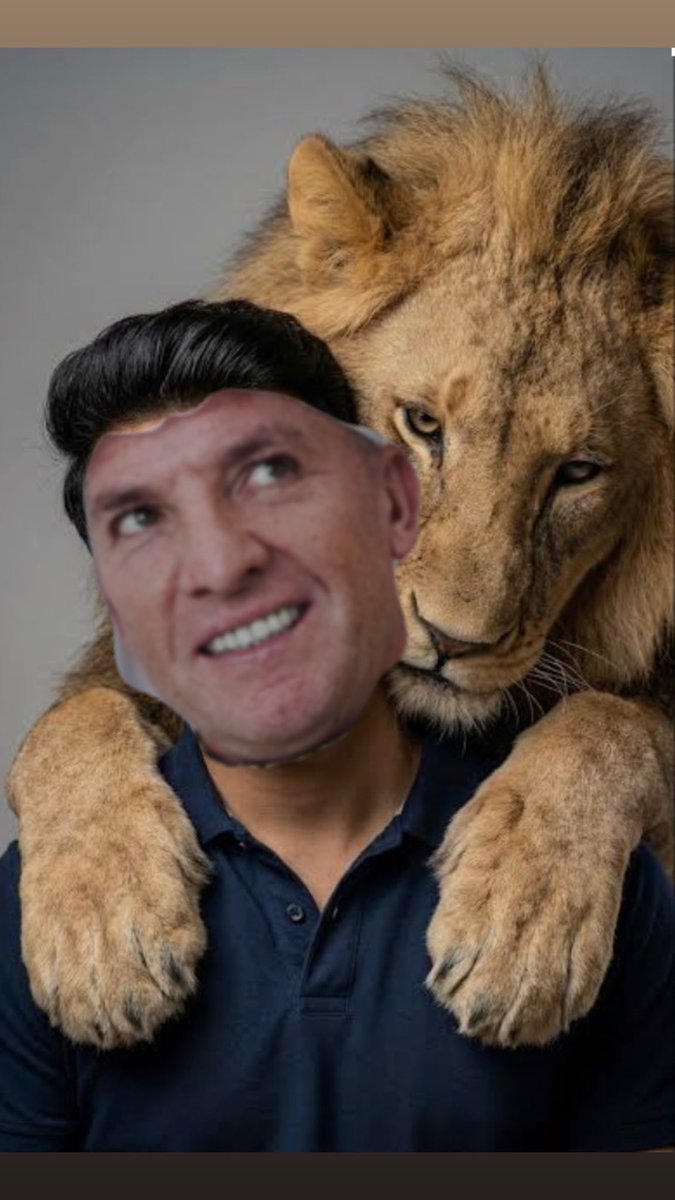 Dman88__'s tweet photo. Now the dust has settled, he was always right.

#oneclubonebrendan #freederryandbrendan #kenmastory https://t.co/vbrGMPQEG7