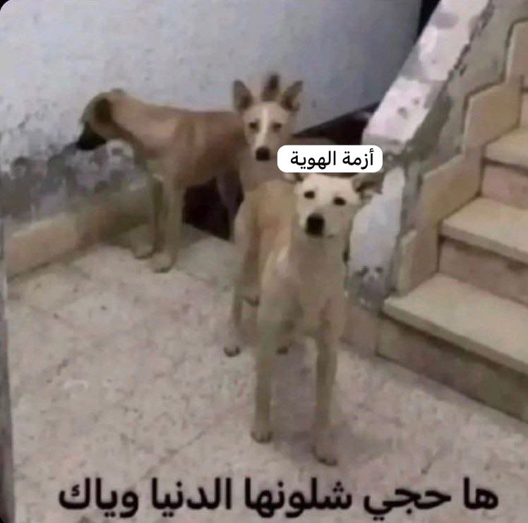 __2radwa's tweet photo. https://t.co/A49JNwrS1f
