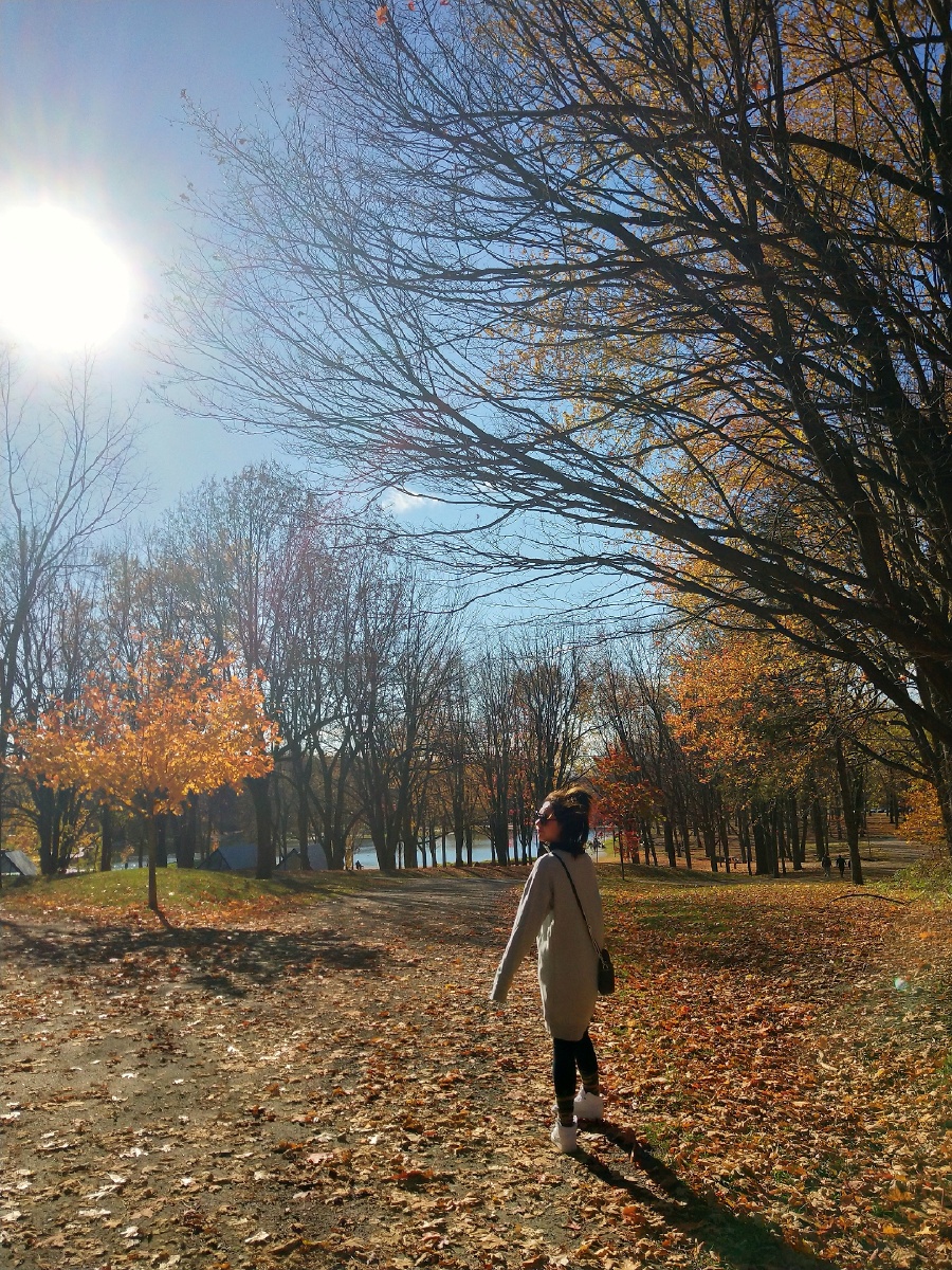 LarhondaRa8y's tweet photo. The first autumn breeze carries crisp apple scents—perfect for hoodie weather and long walks today. ， https://t.co/EE4YDrApVq