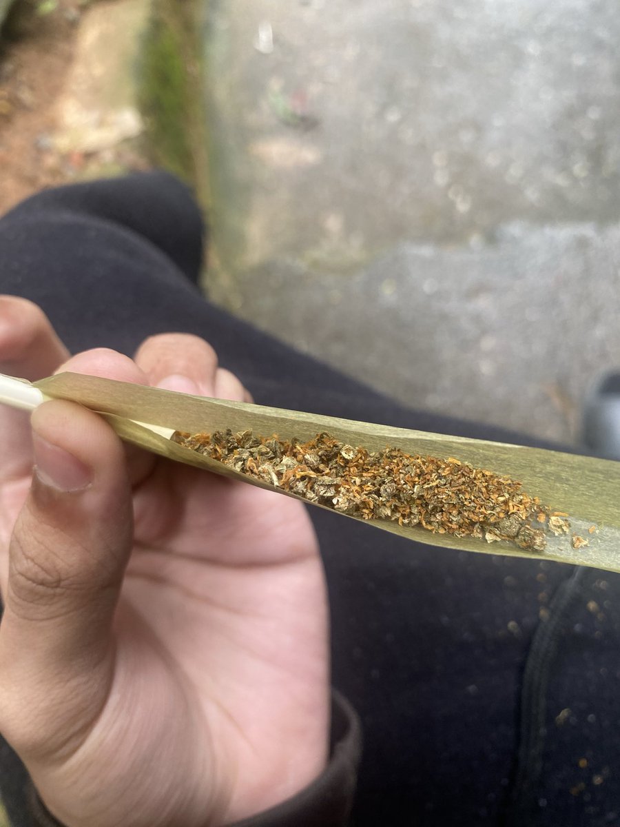 brilharmustdie's tweet photo. prensado e baunilha, isso é lindo https://t.co/iiOEMB0pMz