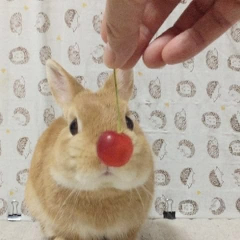 dsrNISKALA's tweet photo. https://t.co/VlnYNKtWg7