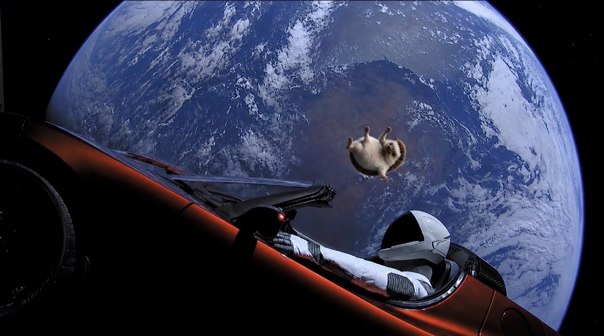 RizoTeslaMeme's tweet photo. @techAU @elonmusk can’t wait ⏳ https://t.co/o8w7vryCio
