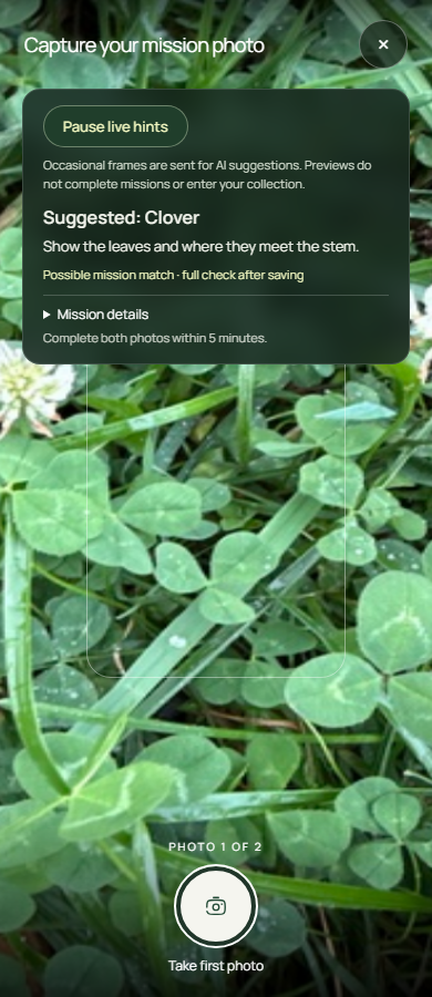 WildHuntRH's tweet photo. Point your camera. Get a suggested name before the picture is even taken and take the shot when you're ready📸.

Live camera identification is now on Wild Hunt, with framing tips to help you capture clearer photos before saving your discovery.

https://t.co/tNhtuz78K5 https://t.co/IGWCiG2RXV