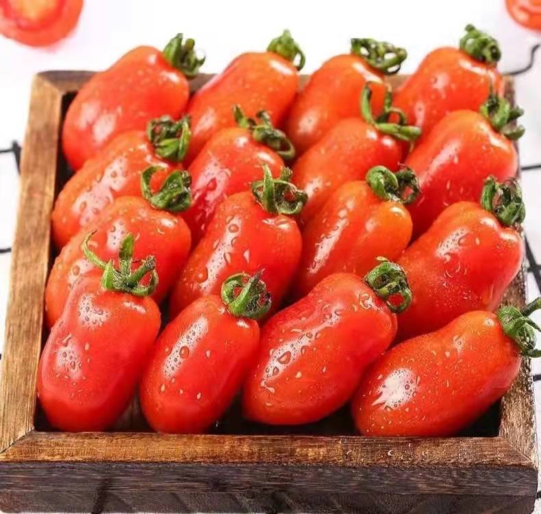 toffr045108's tweet photo. Tried the sweet, crisp 100% organic local cherry tomatoes this weekend—bursting with natural juice, zero bitter aftertaste. Perfect for summer salads or snacking!， https://t.co/GMkrOBWcQJ