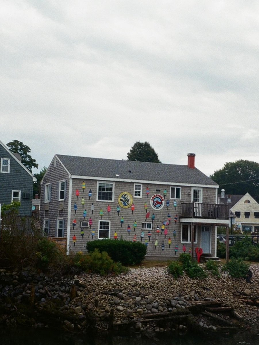 RustyOcano's tweet photo. Maine on film. https://t.co/JycGoRcigx