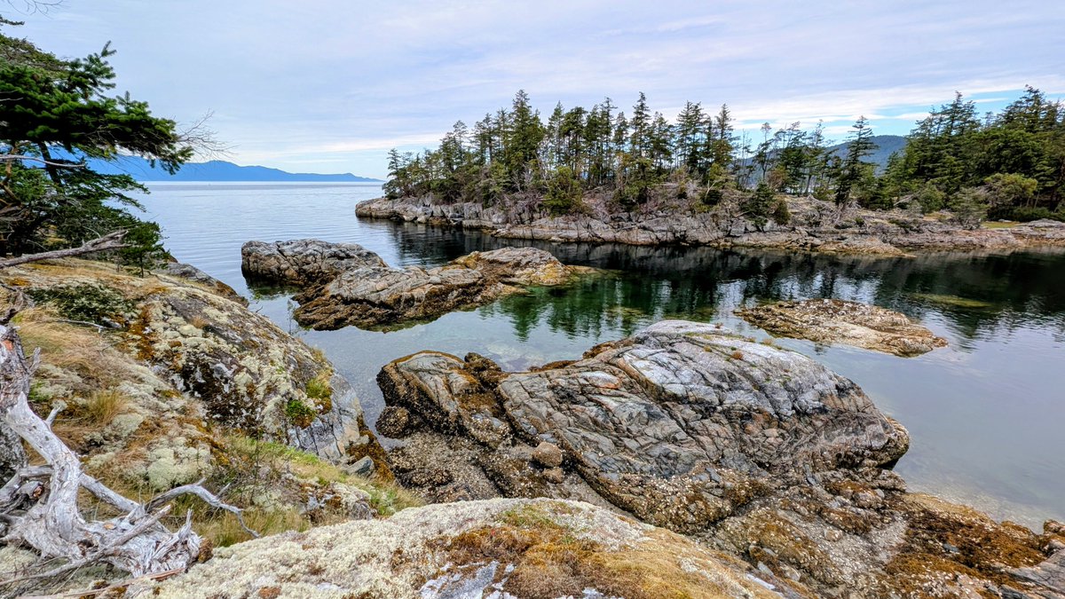 julievanisle's tweet photo. @Robotdriver I'm on the sunshine coast right now too! Having fsd drive me around so I can sightsee is so sweet! https://t.co/opxcQNjKvU