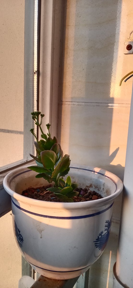 ambrk194264's tweet photo. Growth isn’t about never falling—it’s about getting up with a little more grit each time. https://t.co/tZpr7TIbJr
