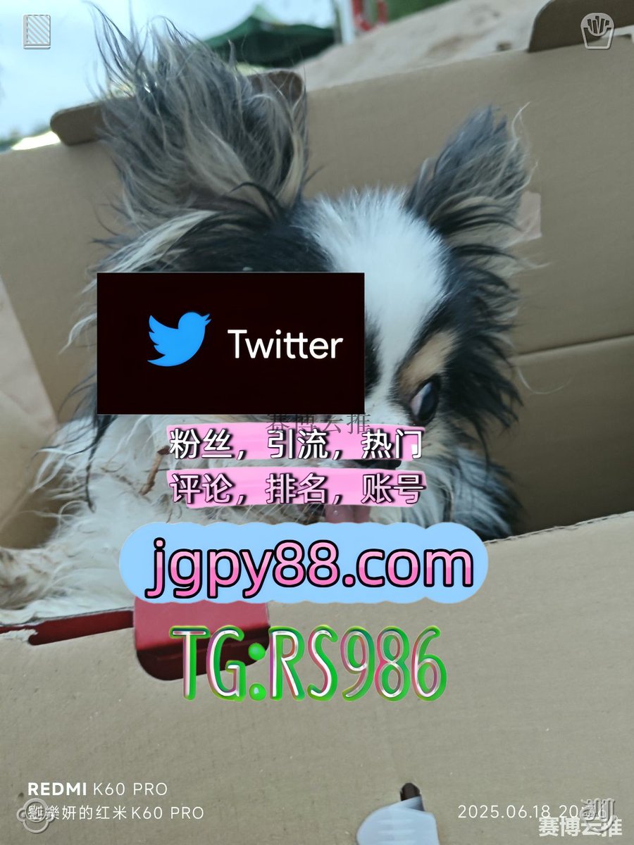 DaGerminia's tweet photo. 把每一次挫折都当作成长最好的养分👁
推特账号购买海外流量、品牌推广、社媒营销 
推特脚本 评论截流🎉股票代码🌟辅助工具🔥品牌增长👍 推特矩阵系统、Twitter矩阵系统、X矩阵系统
上热门 矩阵互动🌞輔助工具🌂
霸屏🪐群发私信💐海外获客🍀 软件获客、海外推广、流量增长 https://t.co/PjwpCZr4Yt