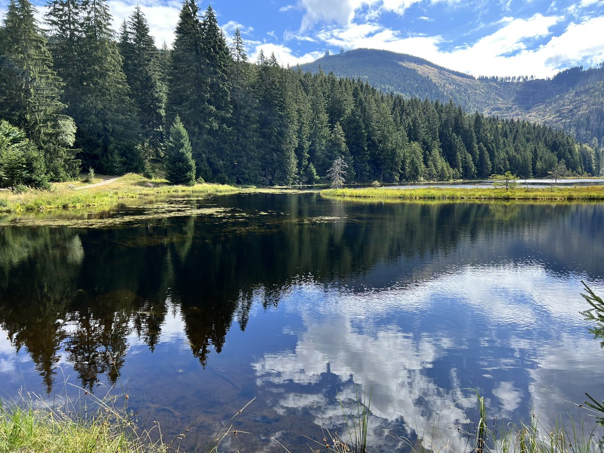 FloridaBallerDE's tweet photo. Kleiner Arbersee https://t.co/TcBcPtEaC1