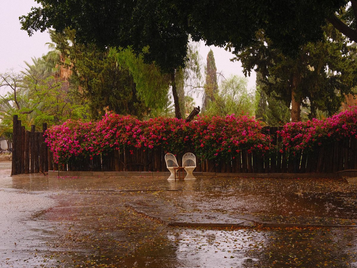 CDarchlve's tweet photo. عروس المصايف https://t.co/XkKfSqqVLy