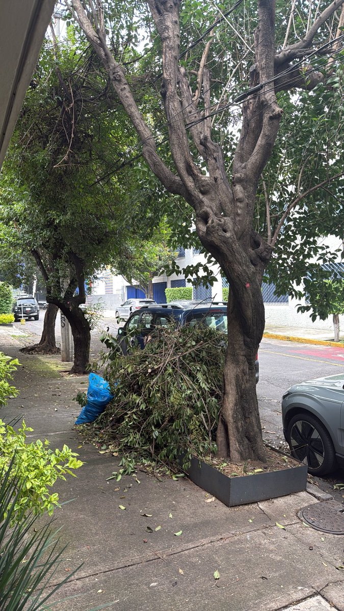 dauquen's tweet photo. @CFEmx @CFE_Contigo Qué hago con esto que dejaron en la puerta de mi casa? https://t.co/IaRuplARqW