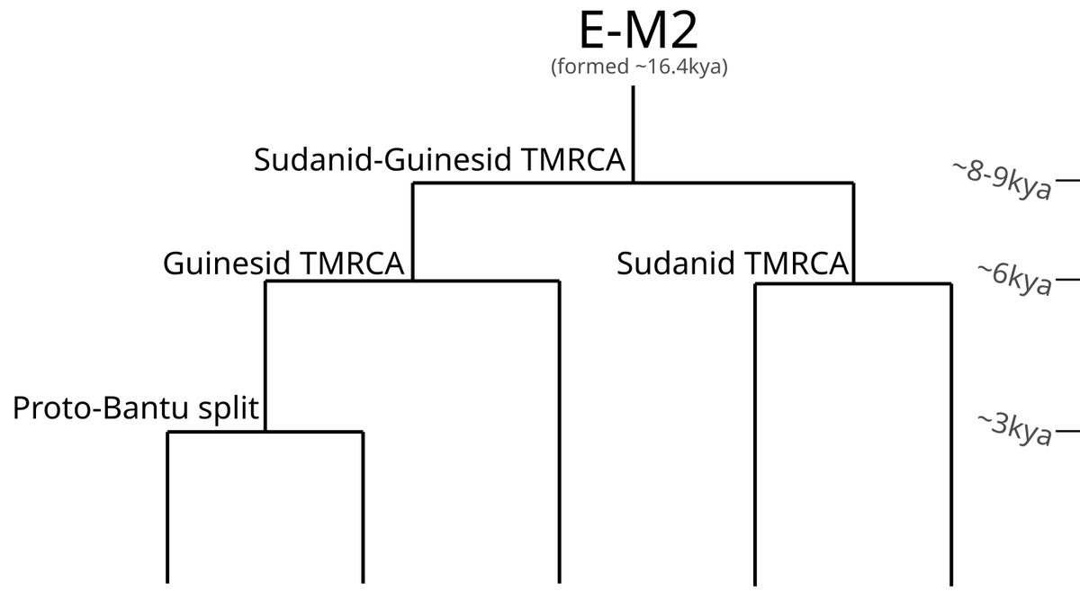 Original_Libbro's tweet photo. Every E-M2 subclade be like: https://t.co/ZtkSA4IUBw
