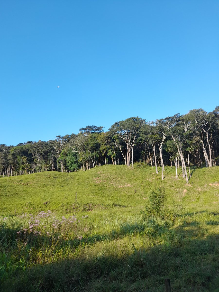 0x_Seyf's tweet photo. @_Bellmere2_ Ainda bem que moro n interior e perto de natureza pra poder trilhar https://t.co/1Y5d7tDS1J
