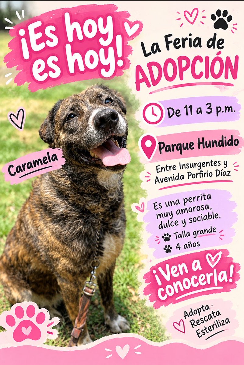 HELA_MORE's tweet photo. 🐾💕 ¡ES HOY, ES HOY! 💕🐾

Hoy tenemos nuestra FERIA DE ADOPCIÓN y Caramela junto con algunos de nuestros demás rescatados están esperando una familia que les dé la oportunidad de conocer el verdadero amor. 🥹🩷

📍 Parque Hundido
📌 Entre Insurgentes y Avenida Porfirio Díaz
🕚 De 11:00 a.m. a 3:00 p.m.

Ven a conocerlos, a pasear a nuestros perritos, a llenarles de cariño y, ¿por qué no?, quizá hoy encuentres a tu nuevo mejor amigo. 🐶💕

No necesitas venir a adoptar para ayudarnos. También puedes apoyarnos con croquetas, sobres, latitas, camitas, cobijas, correas o simplemente regalándoles un paseo y un ratito de amor. 🐾

✨ ¡Te esperamos! ✨
Adopta • Rescata • Esteriliza 🩷🐶