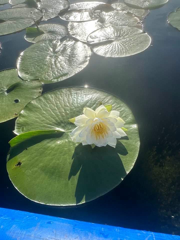 smnorthbird's tweet photo. What a beautiful day! https://t.co/5zxSHcJutJ