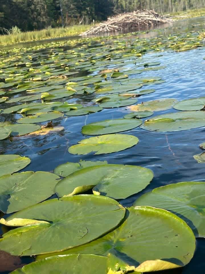 smnorthbird's tweet photo. What a beautiful day! https://t.co/5zxSHcJutJ